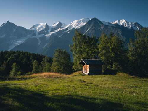 Vallée de Chamonix - massif du Mont Blanc (74) 