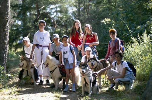 Cani-rando avec des Huskies autour de La Norma - Haute Maurienne (73) 
