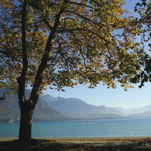 Lac d'Annecy en automne (74) 