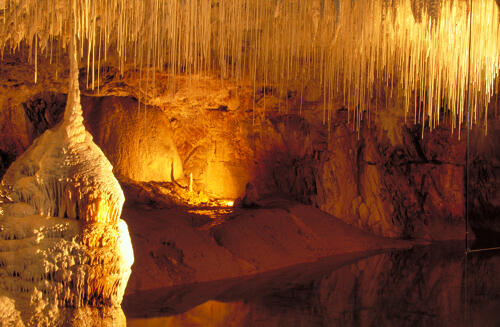Grottes de Choranche - PNR Vercors (38) 