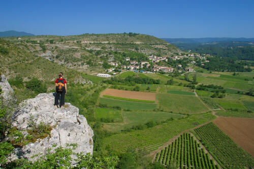 Panorama depuis le Bois de Païolive - Ardèche méridionale 