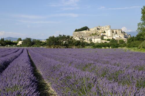 Grignan et son château - Drôme Provençale 