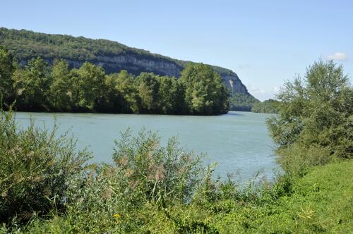Le Rhône à Sault-Brénaz - Bugey (01) 