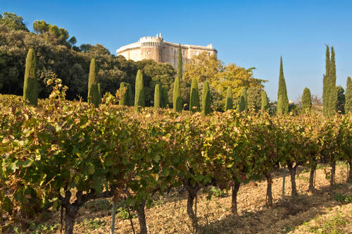 Vignoble et château de Suze-la-Rousse, Drôme Provençale 