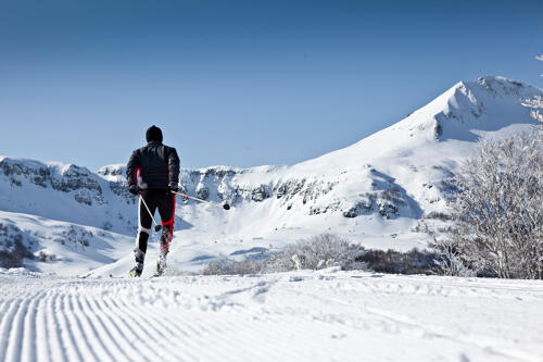 Ski de fond, domaine nordique Haut Cantal/Puy Mary (15) 