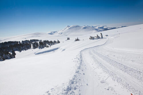 Ski de fond, Domaine Nordique de Pessade (63) 