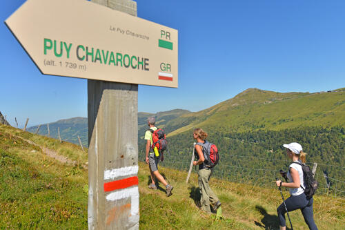 Randonnée sur le Puy Mary - monts du Cantal (15), PNR Volcans d'Auvergne 