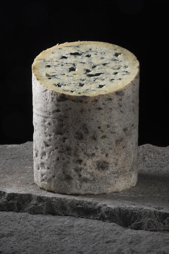 Fourme d'Ambert (63), fromage AOP 