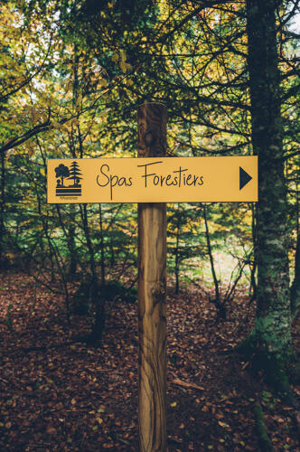 Spa forestier au Sylvatorium de la forêt du capucin, Mont-Dore - Massif du Sancy (63) 