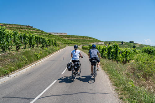 Vélo dans les vignobles des Côtes du Rhône autour de Tain l'Hermitage (07) 