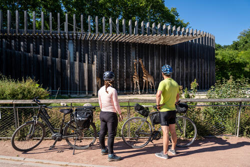 Pause vélo au Parc de la Tête d'Or - Lyon 