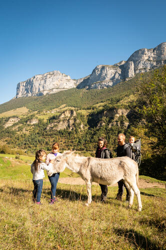Un âne de la ferme La Bicoque, Echevis - PNR Vercors (26) 