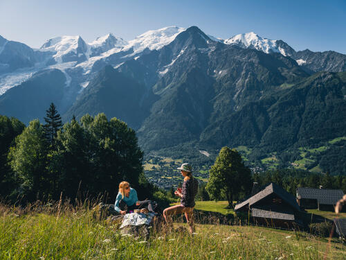 Randonnée dans la vallée de Chamonix - massif du Mont Blanc (74) 