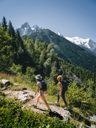 Randonnée dans la vallée de Chamonix - massif du Mont Blanc (74) 